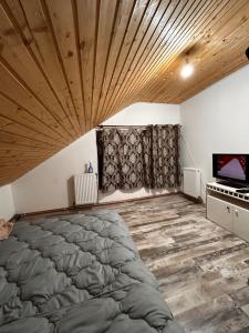 a bedroom with a large bed and a television at Montain Cabin Apuseni in Săgagea