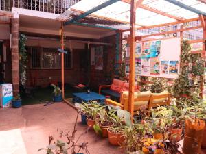 a patio with a bunch of potted plants at Jabulani Nairobi Backpackers Hostel in Nairobi