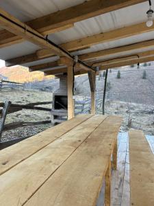 SăgageaにあるMontain Cabin Apuseniの木製屋根の下の木製ピクニックテーブル
