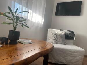 a room with a table and a chair with a potted plant at Wellness Varaždin in Varaždin