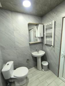 Hostel Cozy House في Sioni: حمام مع مرحاض أبيض ومغسلة