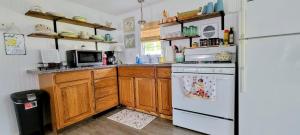 a kitchen with wooden cabinets and a white refrigerator at Welcome to Bluebird Cottage in Lakeview