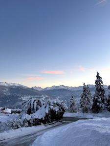 a snow covered mountain with trees and a road at Chalet Beau-Site Anzère in Anzère