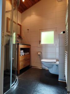 a bathroom with a toilet and a glass shower at Chalet Beau-Site Anzère in Anzère +33 photos