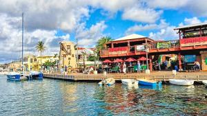 a marina with a pier with boats in the water at Town Treasure - Walkable - King Bed - AC in Christiansted