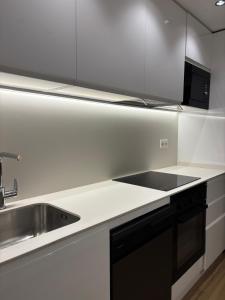 una cucina con un lavello e un piano di lavoro di Apartamento Bailatús a Saragozza Altre 13 foto