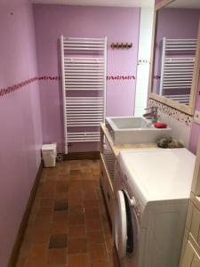 a purple bathroom with a sink and a washing machine at Les Eaux Calmes in Talcy +9 photos