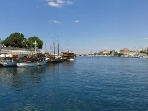 un grupo de barcos están atracados en el agua en Apartment Marija, en Zadar