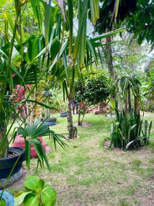Fotografie z fotogalerie ubytování Pousada La bodeguita v destinaci Mucuri