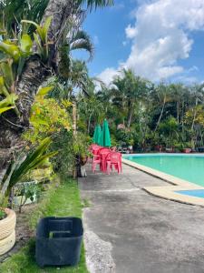 Fotografie z fotogalerie ubytování Pousada La bodeguita v destinaci Mucuri