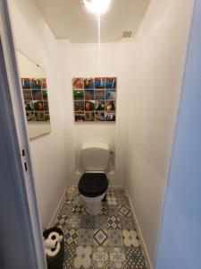 een kleine badkamer met toilet in een kamer bij Bel appartement centre Le Palais in Le Palais