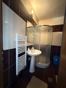 Koupelna v ubytování Apartman ne Shadervan