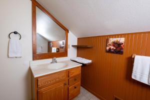 een badkamer met een wastafel en een spiegel bij Adventure Lodge in Gatlinburg +95 foto's