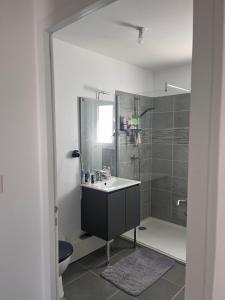 a bathroom with a sink and a shower at Charmante maison récente saint xandre in Saint-Xandre