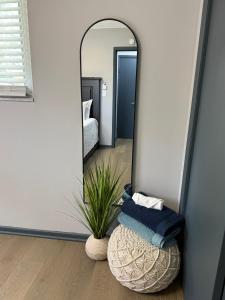 インディアナポリスにあるDelightful 3 Bd Home with King size bed, hot tub, playground!の椅子と植物を備えた部屋の鏡 +55枚の写真