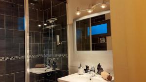 a bathroom with a sink and a mirror at Logis des Lauriers Roses in Marennes +41 photos