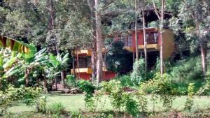 a house in the woods with trees at Sítio Canoas in Albuquerque