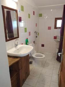 a bathroom with a sink and a toilet at Chambre La Louve in Berrias Et Casteljau