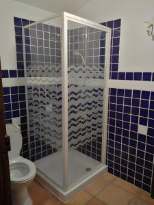 a shower in a blue tiled bathroom with a toilet at Chambre La Louve in Berrias Et Casteljau +7 photos