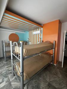 two bunk beds in a room with orange walls at Hostel 555 in La Plata