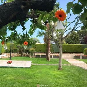 Fotografie z fotogalerie ubytování B&B Villa Adriana v destinaci Andria + 104 fotografií