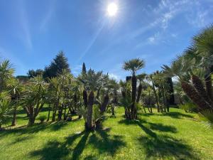 Fotografie z fotogalerie ubytování B&B Villa Adriana v destinaci Andria