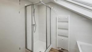 a shower with a glass door in a bathroom at Grosses Loft Apartment im Denkmal zentral in Krefeld in Krefeld
