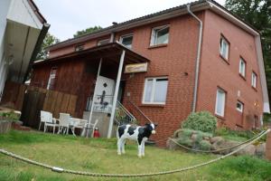 una vaca parada frente a una casa en Pension zum Fässchen, en Consrade