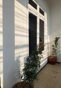 a house with two potted plants next to a window at NOWORRIES Banyuwangi in Banyuwangi