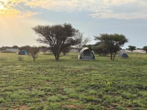 three tents in a field with trees in the background at Shumba Camping Site in Mahikeng +11 photos