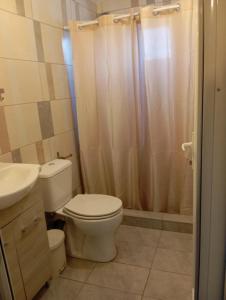 a bathroom with a toilet and a shower and a sink at Paradise Apartment in Orfánion +6 photos