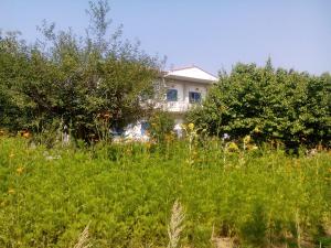a house in the middle of a field of flowers at Guesthouse Karidia in Skala Eresou