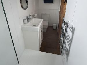 a small bathroom with a sink and a toilet at Shepherds Cabin at Titterstone in Farden