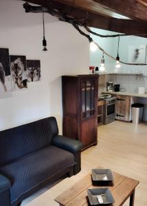 una sala de estar con un sofá y una mesa en Gîte Des Louveteaux, en Berrias Et Casteljau