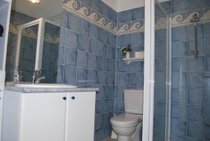 a blue tiled bathroom with a toilet and a sink at la belle étape in Osséja