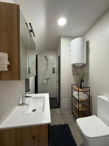 a bathroom with a sink and a toilet and a shower at Family Apartments Zemlinsi 2 in Payerbach