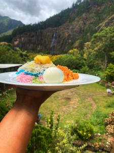 Jídlo v hotelu nebo okolí