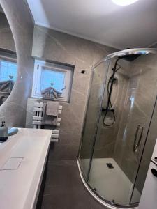 a bathroom with a shower and a sink at Casa Oasi Brusino in Brusino Arsizio
