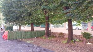 Zahrada ubytování Il Nibbio + 3 fotografie