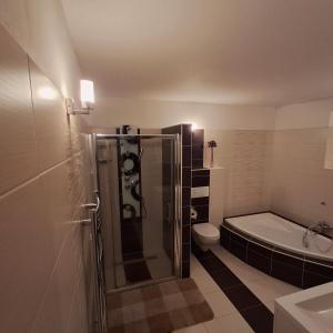 un bagno con doccia, WC e lavandino di Unicorn #13 a Dolní Lánov