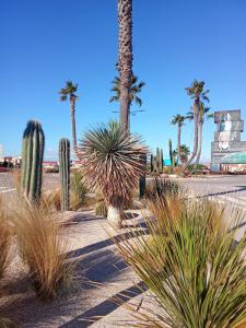 Naturlandskabet i nærheden af lejligheden