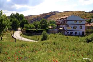 a house on a hill with a field of flowers at Ático el YELMO - Hotel Ruta del Segur in Pontones