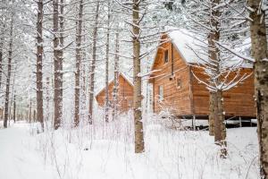 a wooden cabin in the woods in the snow at Huttopia White Mountains in Albany