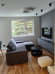 a living room with a couch and a tv at Alpine Escape Detelina Residence in Bŭnzareto