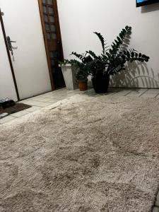 a rug in front of a door with plants at Quarto a 10m da praia ao lado de Pubs e Restaurantes in Recife