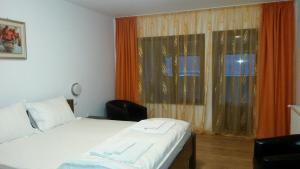 1 dormitorio con cama y ventana grande en Green Eden Lepsa en Lepşa