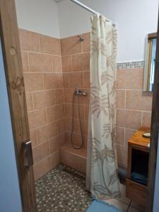 eine Dusche mit Duschvorhang im Bad in der Unterkunft Ti Kaz Fifine, bord de mer in Sainte-Anne