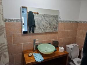 ein Badezimmer mit Waschbecken, Toilette und Spiegel in der Unterkunft Ti Kaz Fifine, bord de mer in Sainte-Anne