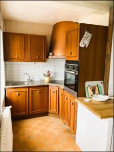 a kitchen with wooden cabinets and a sink at Domaine des Tauperons-8 pers-proche Beauval-wifi in Le Grand-Chambonais