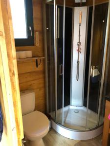 a bathroom with a toilet and a shower at chalet bois montagne Urbanya Occitanie in Urbanya